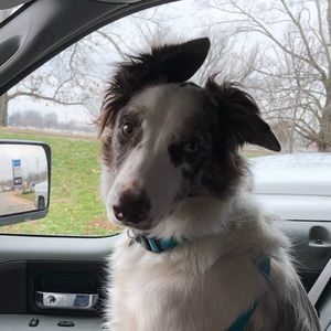 Meet your Posher, Tammy